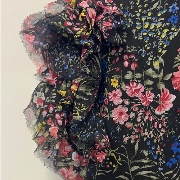 Anna Rae Floral Blouse, Ruffles, Lined, Cap/Short Sleeve w/ Raw Edge, Small - Picture 3 of 11